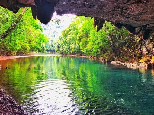 Nohoch Che en Caves Reserve